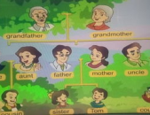 family私密,温馨背后的故事